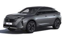 
										PEUGEOT 3008 full									